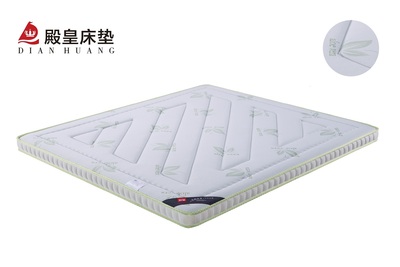 殿皇床垫：10公分环保棕#